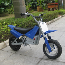 China Factory Electric Mini Dirt Bike for Young Kids (DX250)